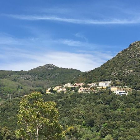 Charmant T2 Hauteurs De Bastia Бастия Екстериор снимка